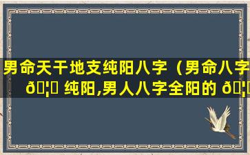 男命天干地支纯阳八字（男命八字 🦍 纯阳,男人八字全阳的 🦉 宿命）